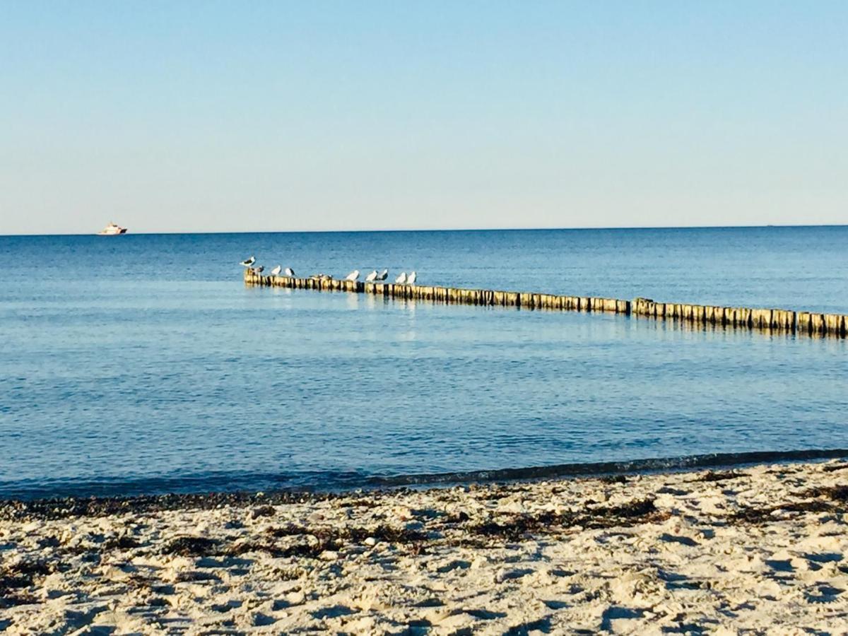 Aparthotel Waterkant Suites - Fewos Am Meer Mit Spa Börgerende-Rethwisch Kültér fotó